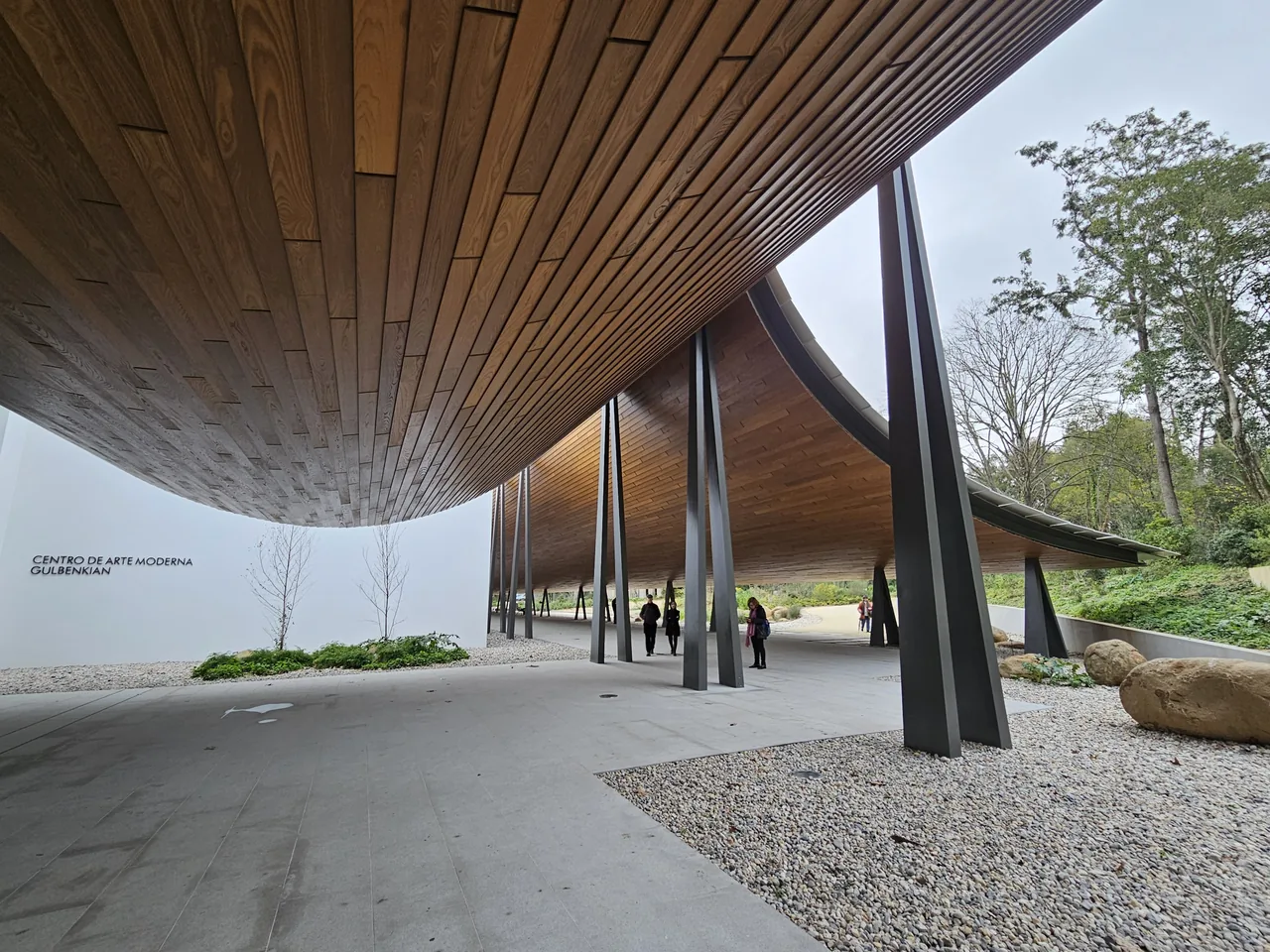 Curved timber canopy and slender supports outside CAM Gulbenkian