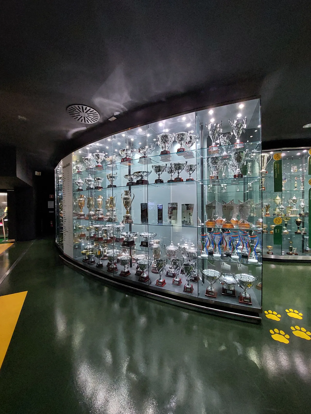 Longa vitrina iluminada de troféus de atletismo no Museu Sporting.
