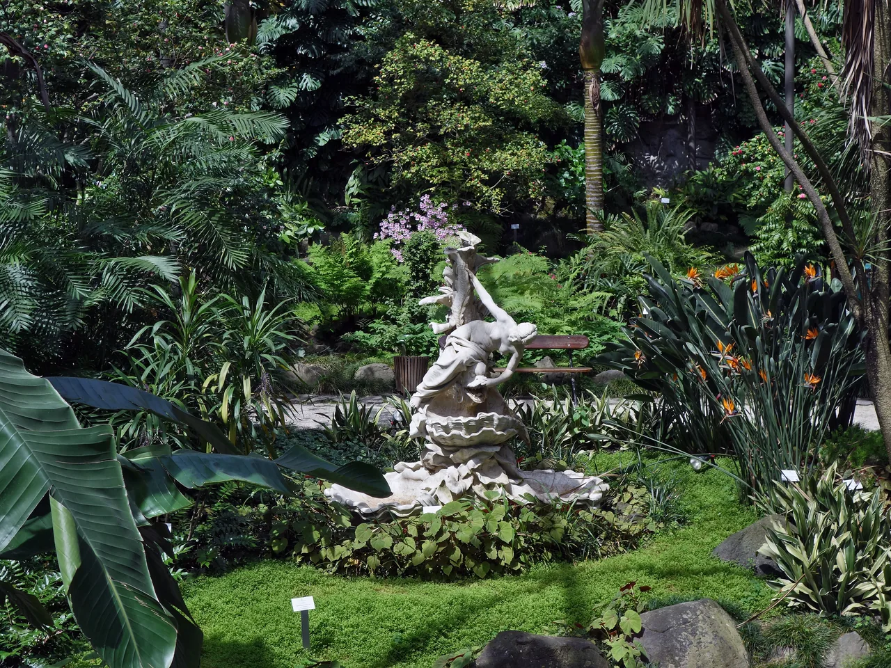 A pale stone sculpture surrounded by palms, foliage and flowering plants in Estufa Fria