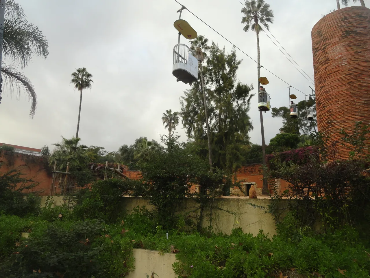 Cable-car gondolas passing above trees and a pond at Lisbon Zoo.