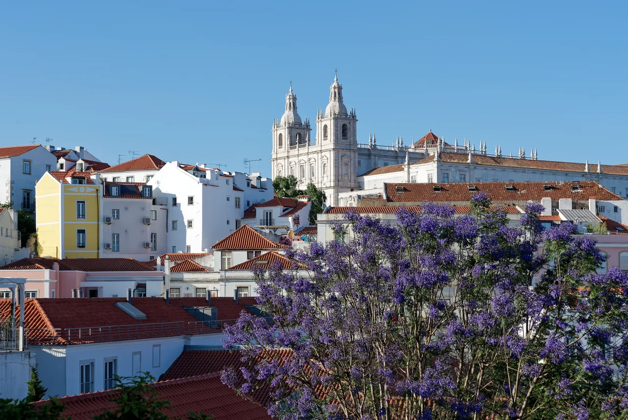 São Vicente de Fora’s towers above Alfama’s red roofs and flowering jacaranda trees.