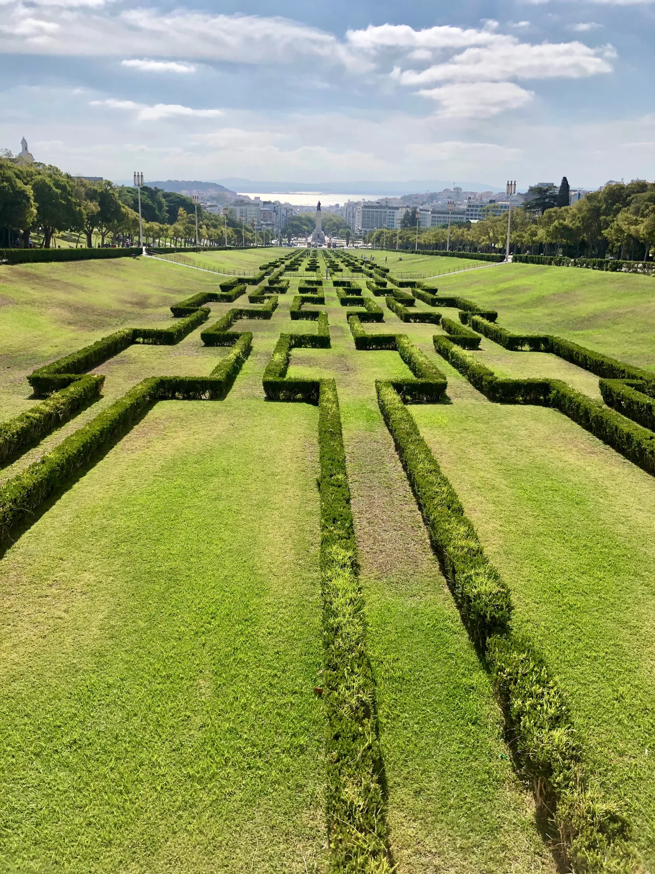 Sebes geométricas a descer pelo Parque Eduardo VII.